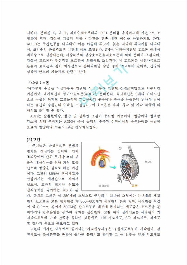 고세균 구조